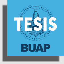 tesis